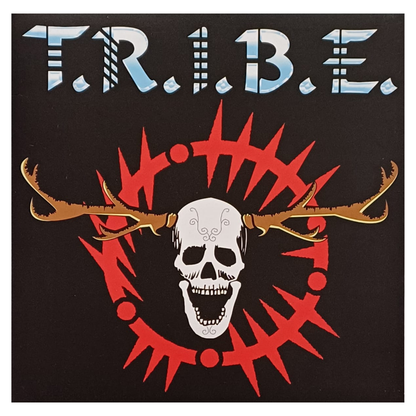 Ruin / T.R.I.B.E. – Nation, State And Liberty | LP 2007 – AG46| (VG++) TRV0101