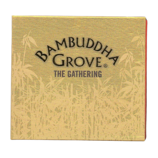 Various Artists - Bambuddha Grove: The Gathering | 2xCD Compilation 2004 | Elettronica Downtempo | Ottime Condizioni TR0049