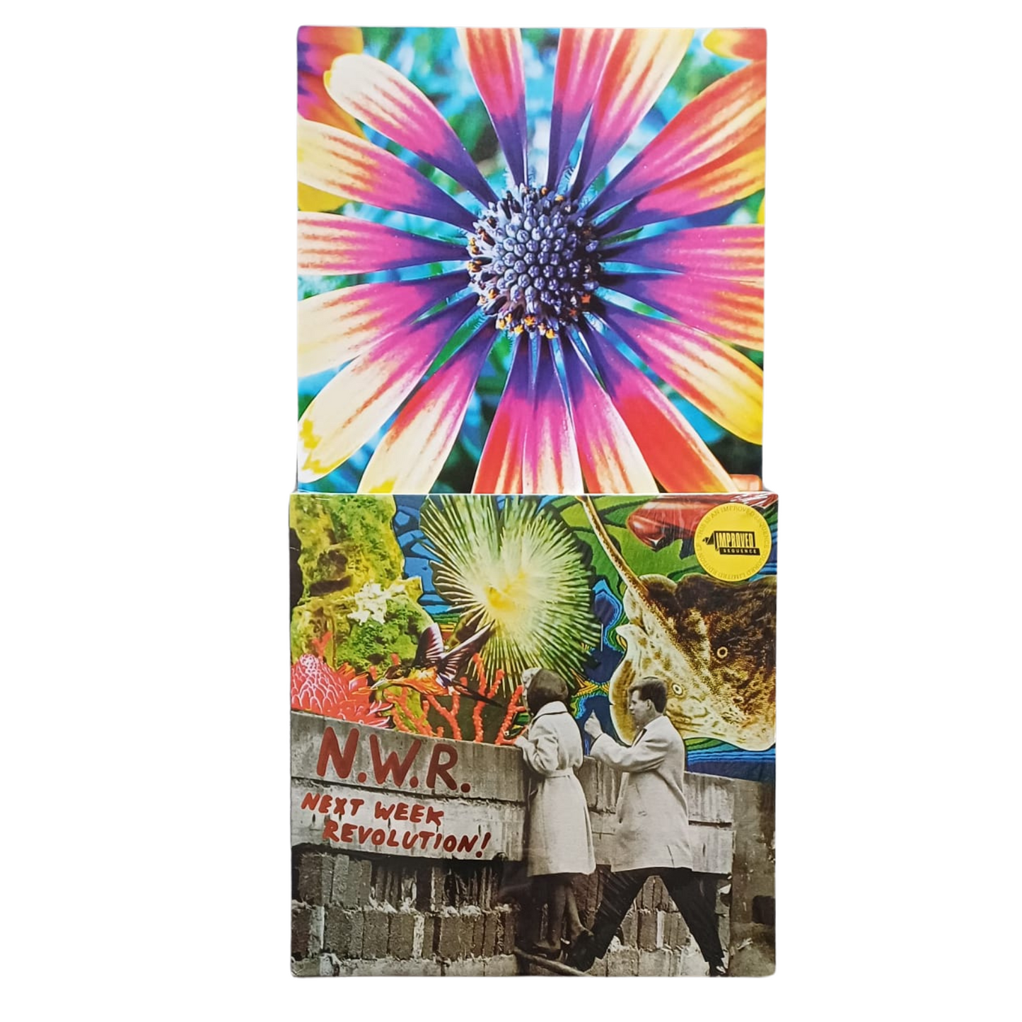 N.W.R. – Next Week Revolution! | LP COLORATO Translucent Blue –IMP060|(M)TRV0093