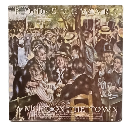 Rod Stewart – A Night on the Town (Vinile LP, 33 Giri) | Rock, Soft Rock, Rarità Warner Bros.- OTTIME CONDIZIONI - TRV0013